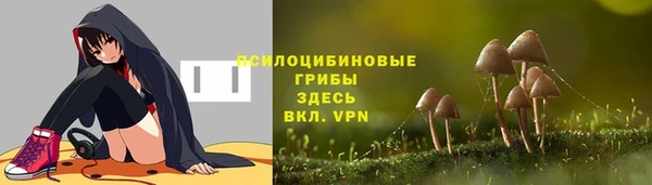 спайс Богородск