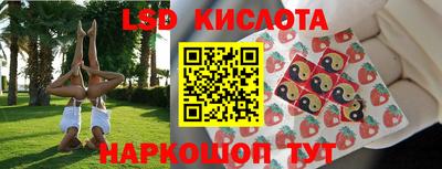 прущие грибы Мариинск