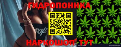 прущие грибы Мариинск
