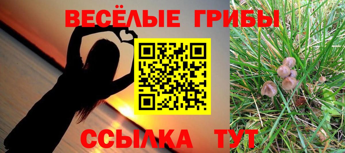 Псилоцибиновые грибы MAGIC MUSHROOMS Реж
