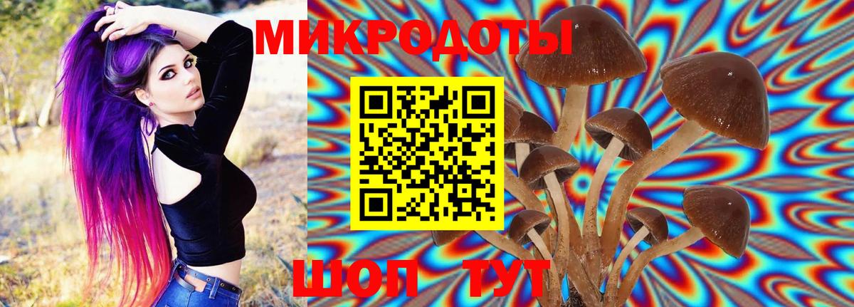Галлюциногенные грибы Magic Shrooms  Вход с VPN  Реж 